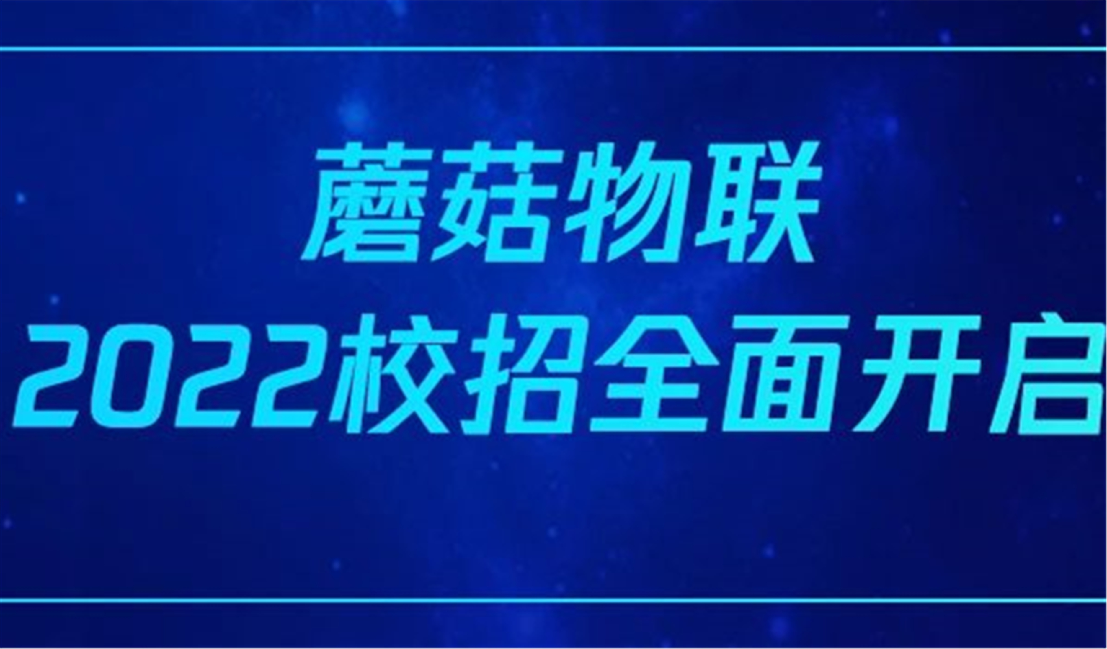 来蘑菇，做自己！蘑菇物联2022届校园招聘全面启动！